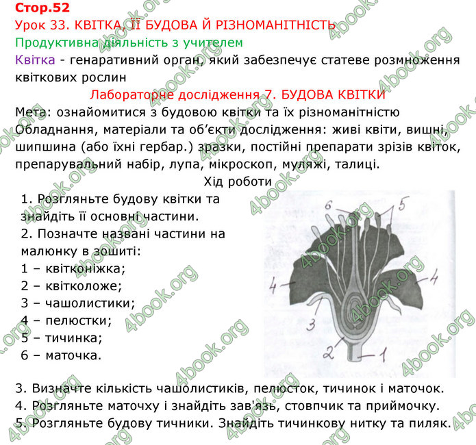 Відповіді Зошит Біологія 6 клас Соболь. ГДЗ