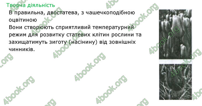 Відповіді Зошит Біологія 6 клас Соболь. ГДЗ