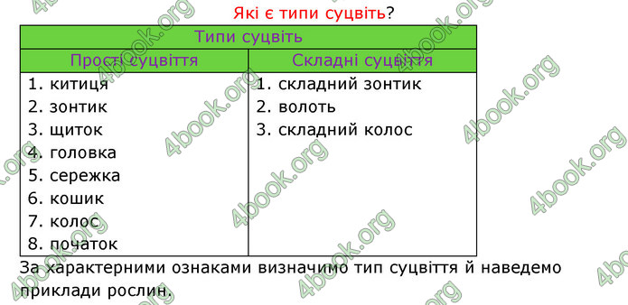 Відповіді Зошит Біологія 6 клас Соболь. ГДЗ