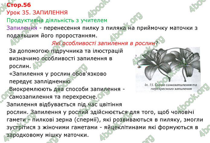 Відповіді Зошит Біологія 6 клас Соболь. ГДЗ