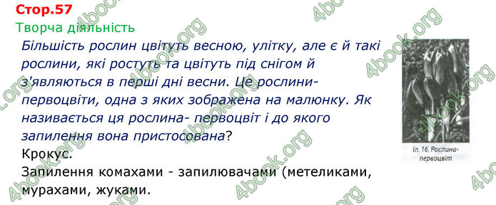 Відповіді Зошит Біологія 6 клас Соболь. ГДЗ