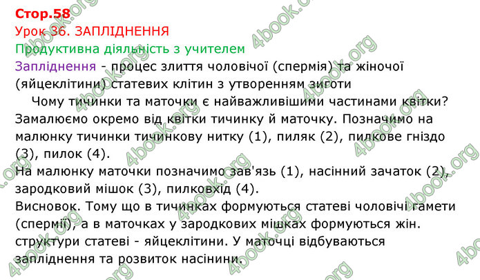 Відповіді Зошит Біологія 6 клас Соболь. ГДЗ