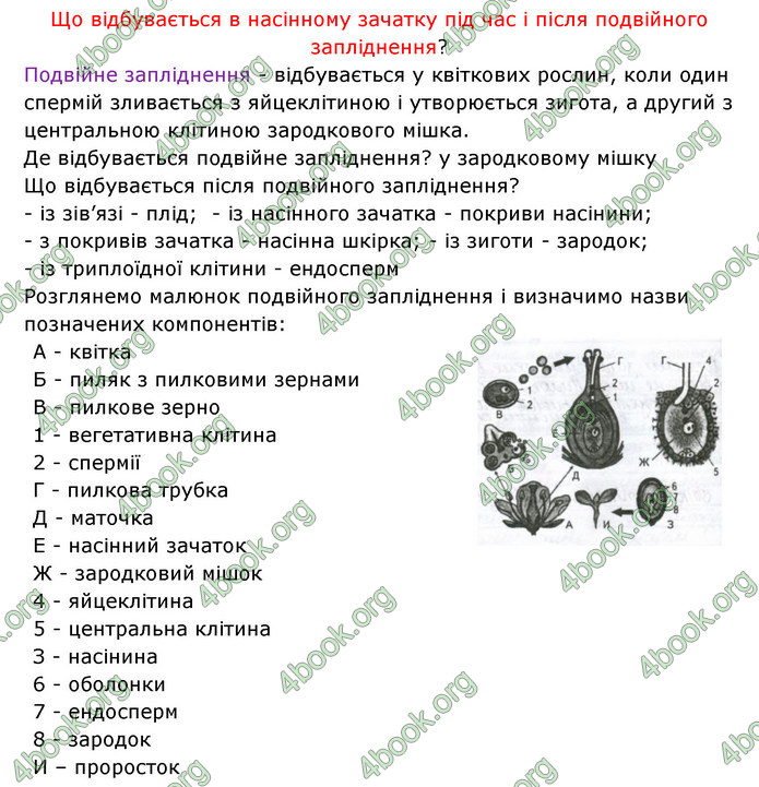 Відповіді Зошит Біологія 6 клас Соболь. ГДЗ