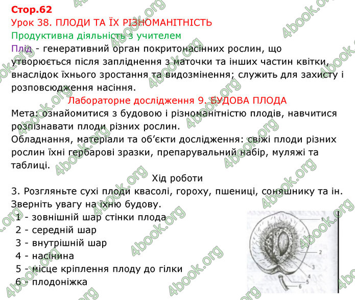 Відповіді Зошит Біологія 6 клас Соболь. ГДЗ