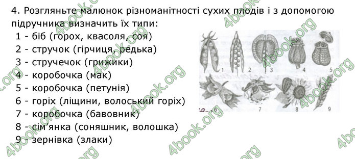 Відповіді Зошит Біологія 6 клас Соболь. ГДЗ