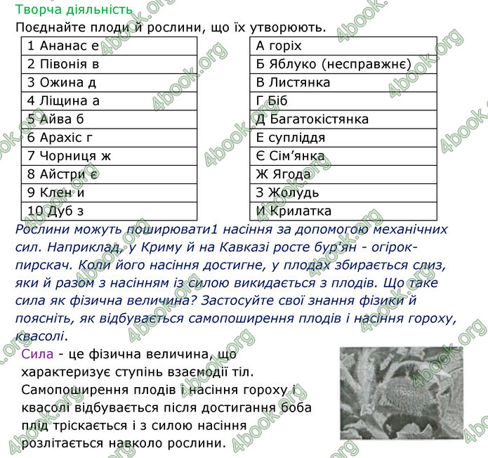 Відповіді Зошит Біологія 6 клас Соболь. ГДЗ