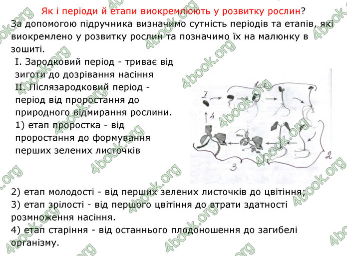 Відповіді Зошит Біологія 6 клас Соболь. ГДЗ