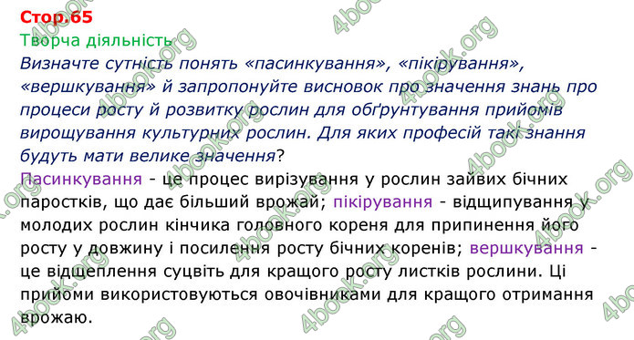 Відповіді Зошит Біологія 6 клас Соболь. ГДЗ