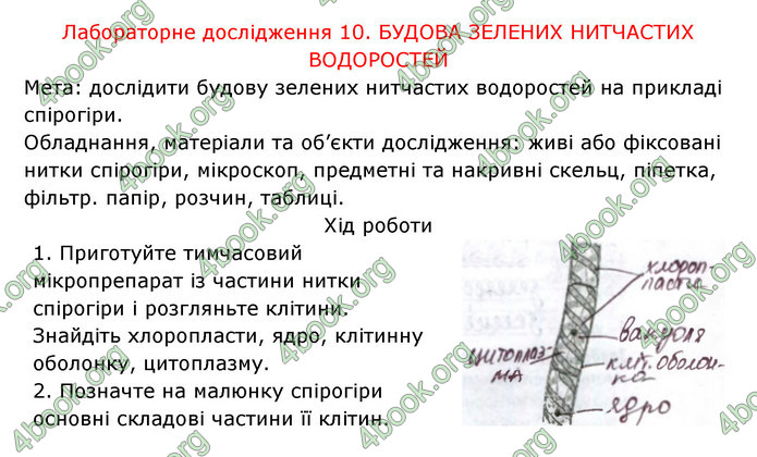 Відповіді Зошит Біологія 6 клас Соболь. ГДЗ