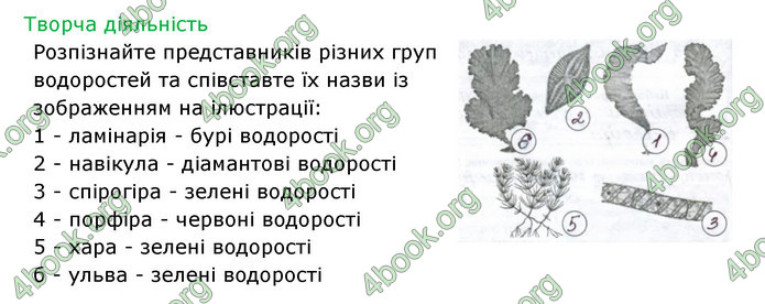 Відповіді Зошит Біологія 6 клас Соболь. ГДЗ