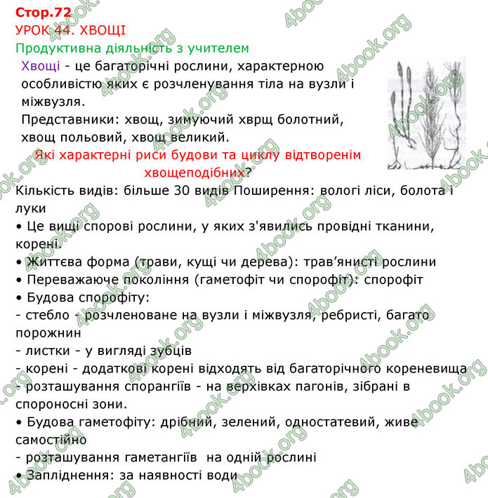 Відповіді Зошит Біологія 6 клас Соболь. ГДЗ