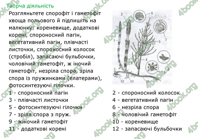 Відповіді Зошит Біологія 6 клас Соболь. ГДЗ