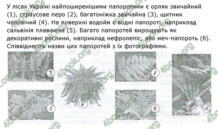 Відповіді Зошит Біологія 6 клас Соболь. ГДЗ