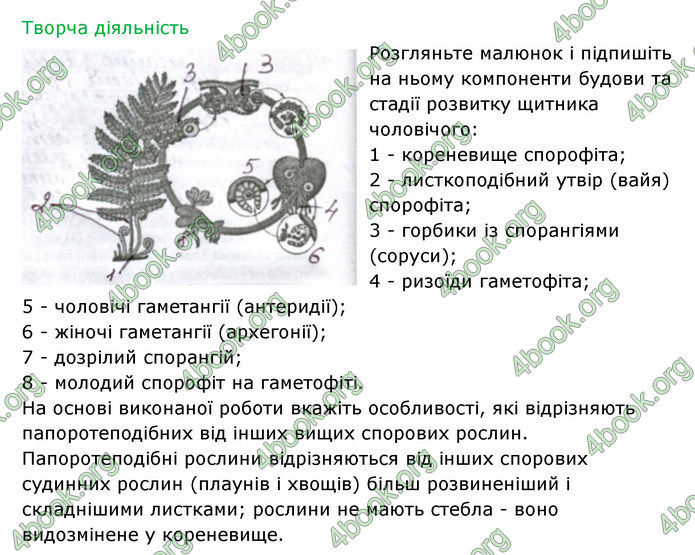 Відповіді Зошит Біологія 6 клас Соболь. ГДЗ