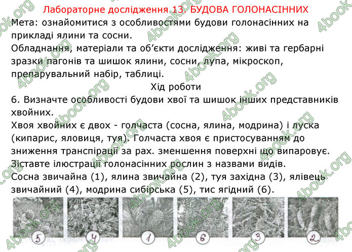 Відповіді Зошит Біологія 6 клас Соболь. ГДЗ