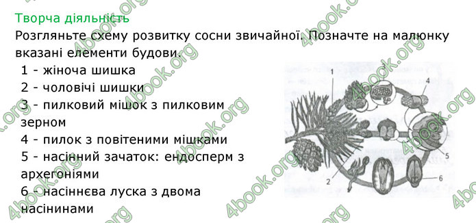 Відповіді Зошит Біологія 6 клас Соболь. ГДЗ