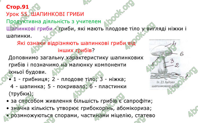 Відповіді Зошит Біологія 6 клас Соболь. ГДЗ