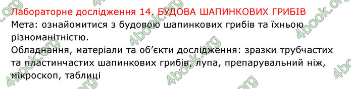 Відповіді Зошит Біологія 6 клас Соболь. ГДЗ