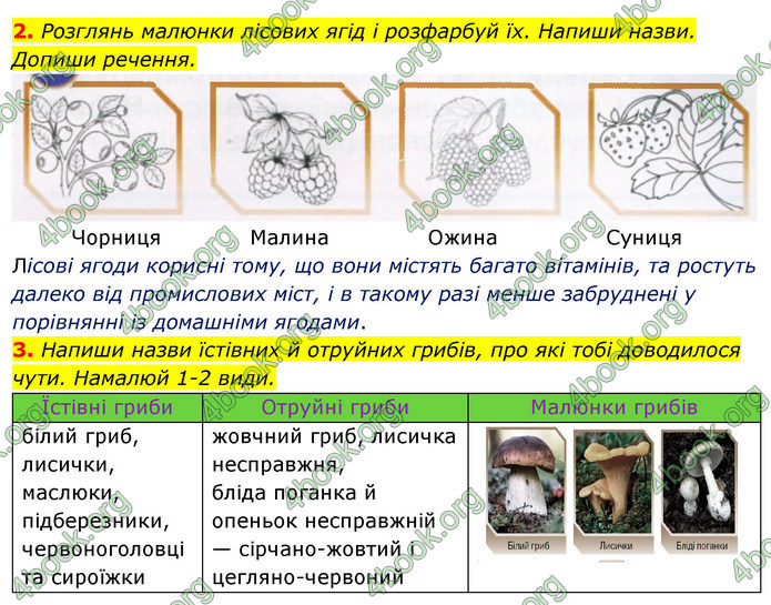 ГДЗ Зошит Я досліджую світ 4 клас Грущинська (1, 2 частина)