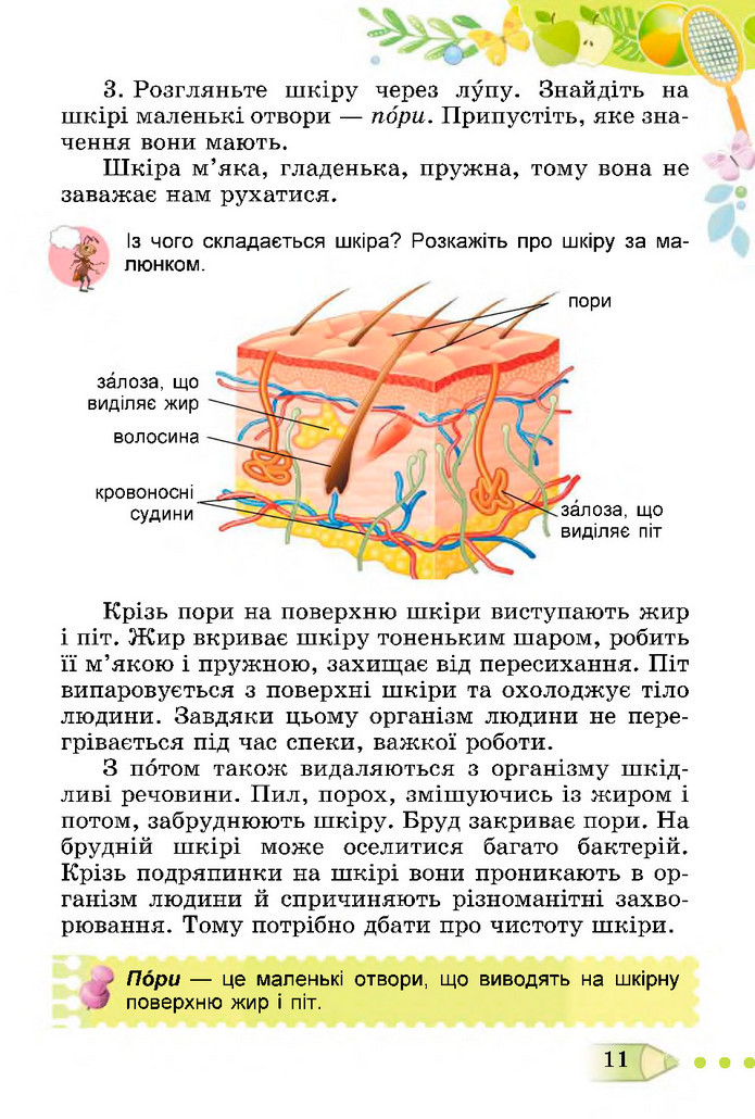 Я досліджую світ 3 клас Гільберг (2 частина)