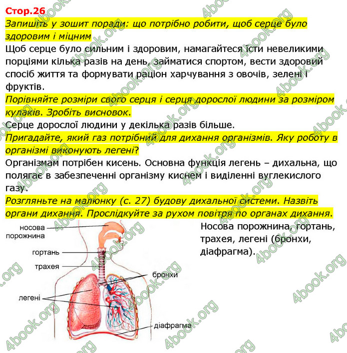 ГДЗ Я досліджую світ 3 клас Гільберг