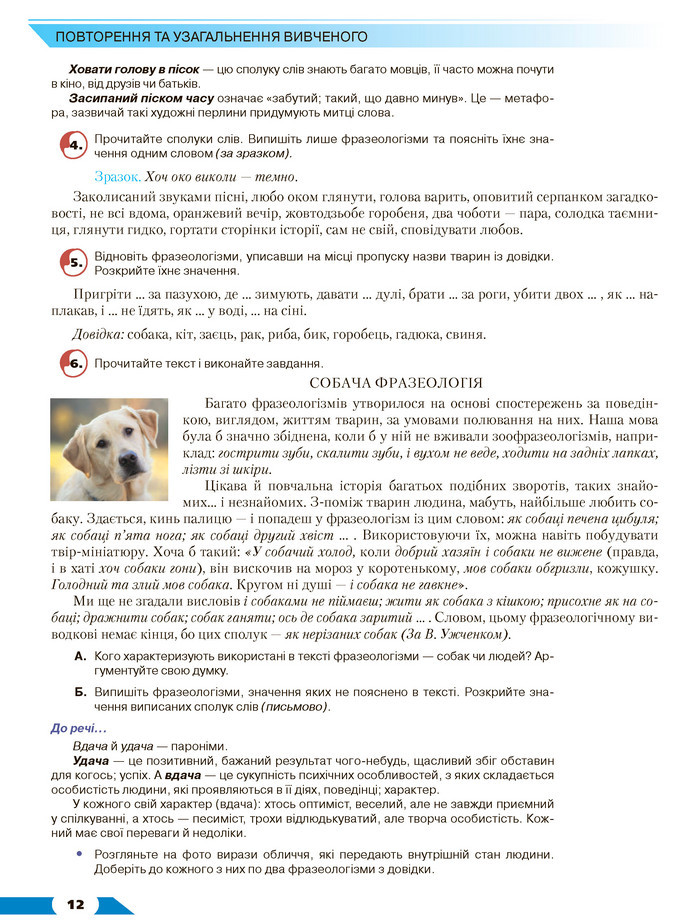 Українська мова 8 клас Авраменко 2021
