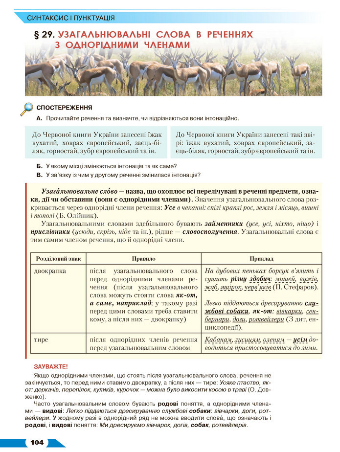 Українська мова 8 клас Авраменко 2021