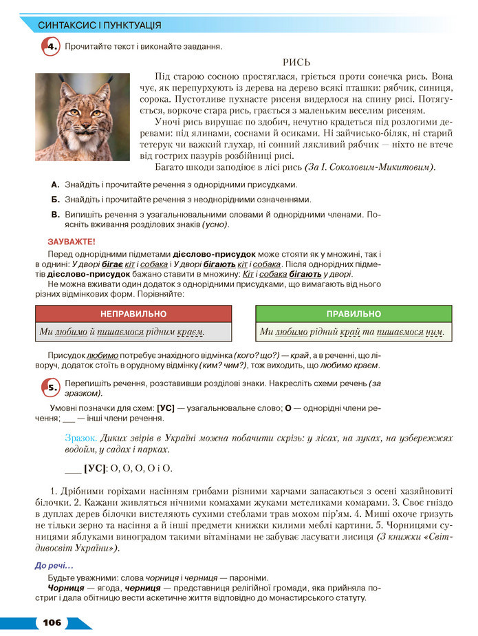 Українська мова 8 клас Авраменко 2021