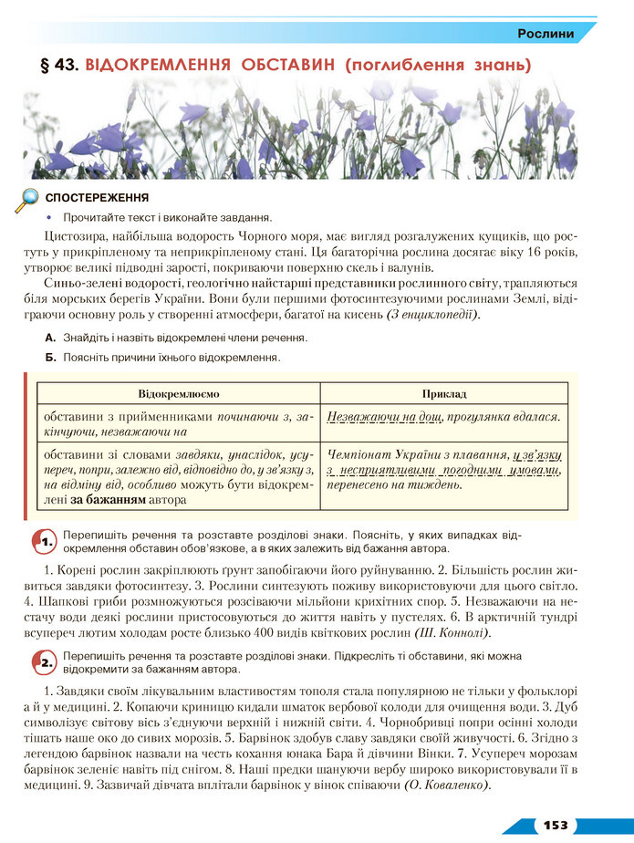 Українська мова 8 клас Авраменко 2021