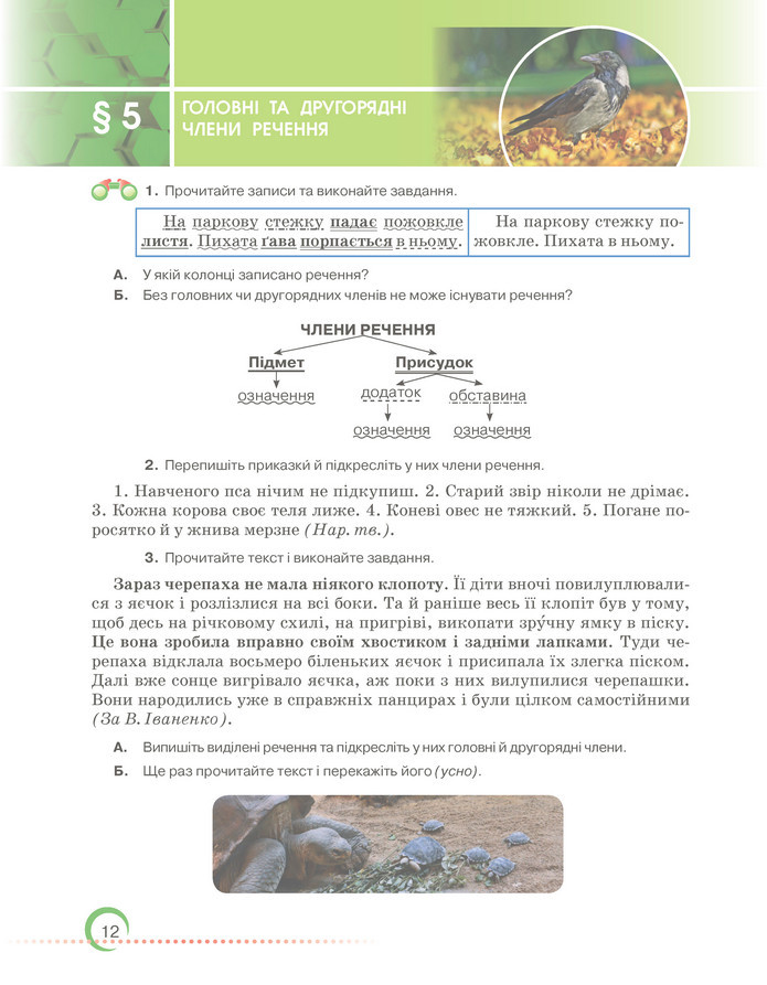 Підручник Українська мова 6 клас Авраменко (2023)