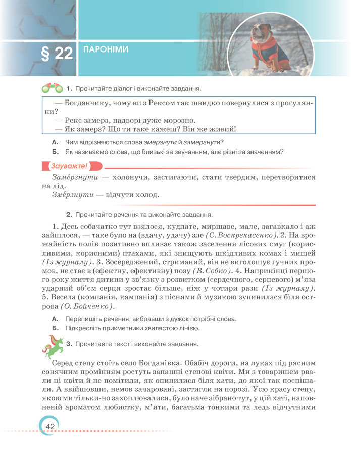 Підручник Українська мова 6 клас Авраменко (2023)