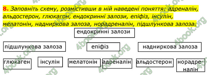 ГДЗ Зошит Біологія 8 клас Задорожний 2021