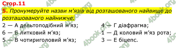 ГДЗ Зошит Біологія 8 клас Задорожний 2021