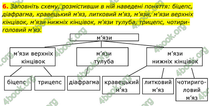 ГДЗ Зошит Біологія 8 клас Задорожний 2021