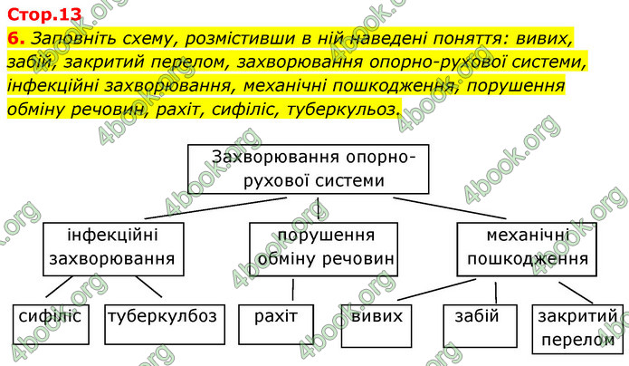 ГДЗ Зошит Біологія 8 клас Задорожний 2021