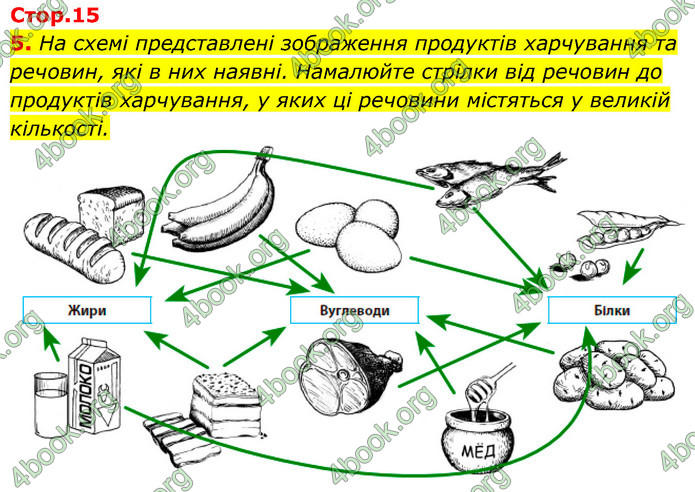 ГДЗ Зошит Біологія 8 клас Задорожний 2021