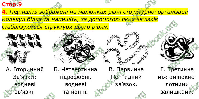 Відповіді Зошит Біологія 9 клас Задорожний 2020. ГДЗ