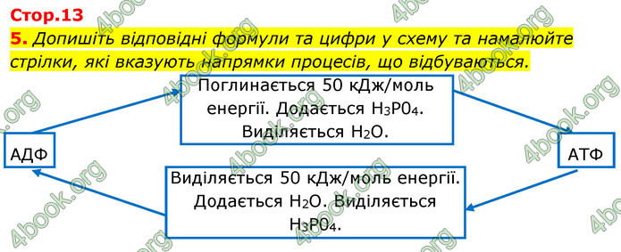 Відповіді Зошит Біологія 9 клас Задорожний 2020. ГДЗ