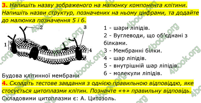 Відповіді Зошит Біологія 9 клас Задорожний 2020. ГДЗ