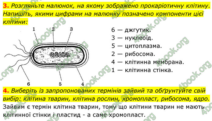 Відповіді Зошит Біологія 9 клас Задорожний 2020. ГДЗ