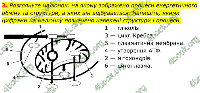 Відповіді Зошит Біологія 9 клас Задорожний 2020. ГДЗ