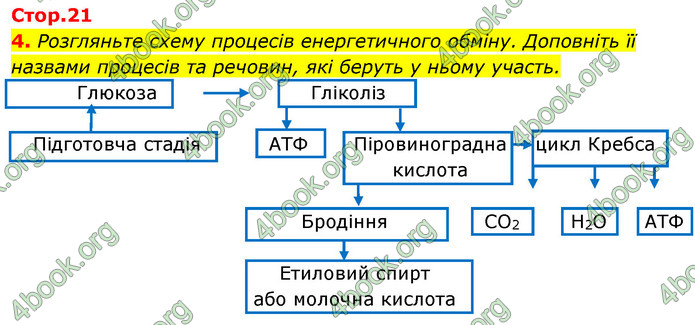 Відповіді Зошит Біологія 9 клас Задорожний 2020. ГДЗ