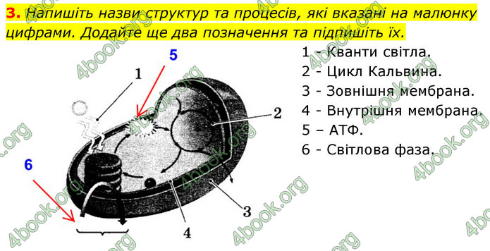 Відповіді Зошит Біологія 9 клас Задорожний 2020. ГДЗ