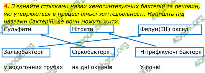 Відповіді Зошит Біологія 9 клас Задорожний 2020. ГДЗ