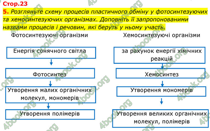 Відповіді Зошит Біологія 9 клас Задорожний 2020. ГДЗ