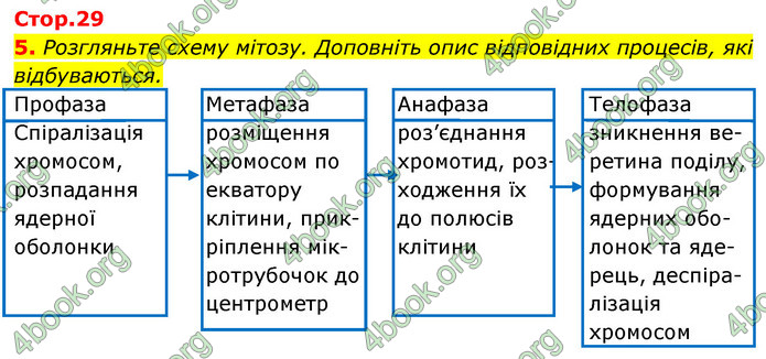 Відповіді Зошит Біологія 9 клас Задорожний 2020. ГДЗ