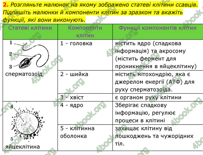 Відповіді Зошит Біологія 9 клас Задорожний 2020. ГДЗ