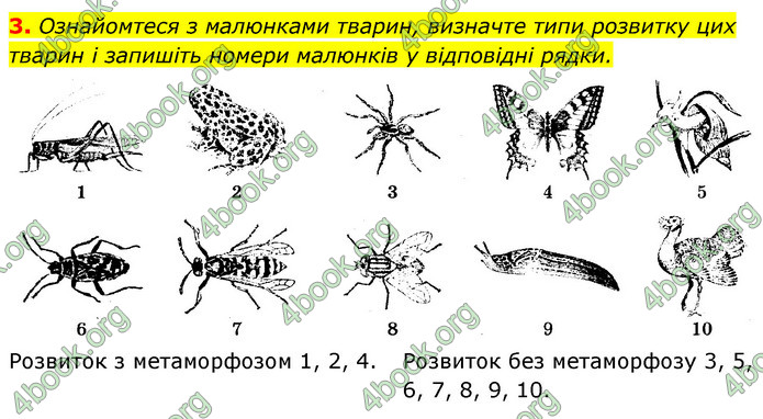 Відповіді Зошит Біологія 9 клас Задорожний 2020. ГДЗ