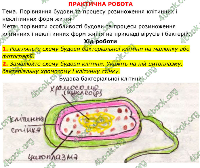 Біологія 9 клас Задорожний 2017. ГДЗ