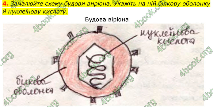 Біологія 9 клас Задорожний 2017. ГДЗ